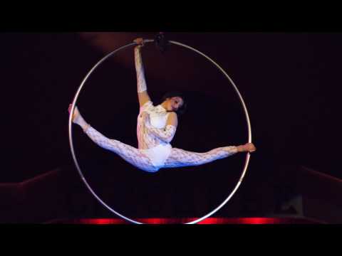katrin aerialartist