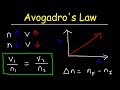Understanding Avogadro's Law