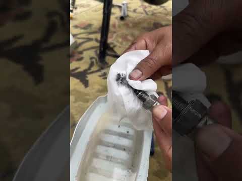 18 de novembro de 2025