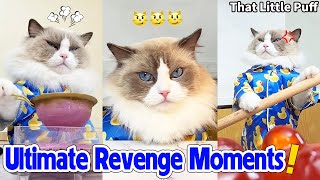 Ultimate Revenge Moments! 🤪| That Little Puff