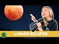 Lunar Eclipse Concepts and Effects