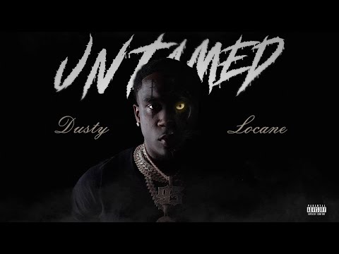 DUSTY LOCANE & Yung Bleu - WHAT YOU NEED (Official Visualizer)