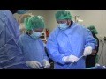 Liver Shunts in Dogs