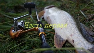 видео