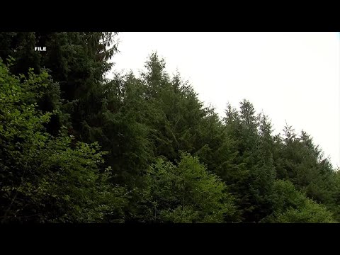 YouTube video thumbnail: 'Roadless Rule' Rescind Impact on Alaska Businesses