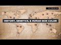 Exploring the Evolution of Human Skin Color