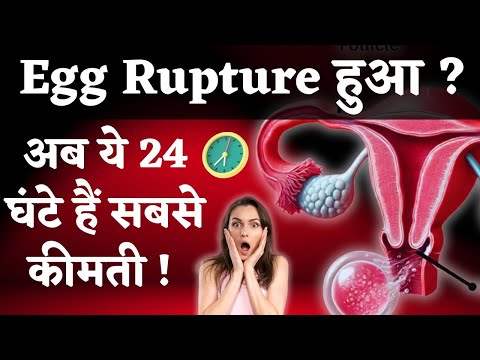 एग रपचर के संकेत, इस दिन गर्भ रुकने के चांसेज सबसे ज़्यादा होते है - food For Periods & egg rupture