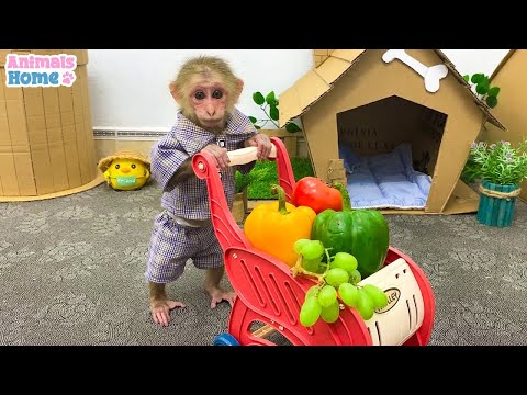 🔴 BiBi Animals Home Live 24/7 | Monkey Baby BiBi Farmer BiBi obedient take care of her friends