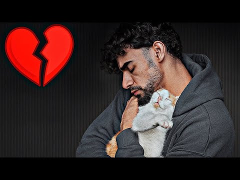 سعدون | النهايه 💔 🐈