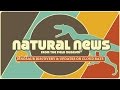 Biodiversity and Research in the Amazon