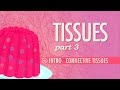 Flo Hyman and Connective Tissue Concepts