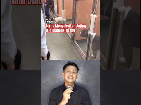 Tidak Dilirik, Dia Hanya Bisa Menyaksikan Yang Lain Diadopsi #anjingmalang #kisahhewan