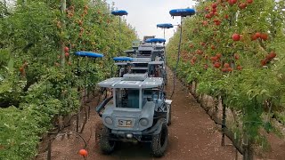 EU ya no necesita indocumentados, ya tiene robots