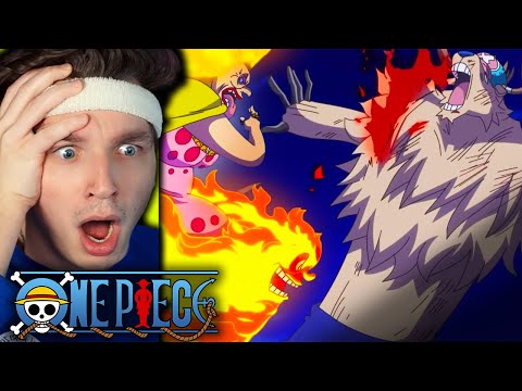 CHOPPER VS. BIG MOM?? (one piece reaction)