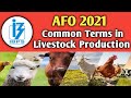 Livestock Terminology and Concepts