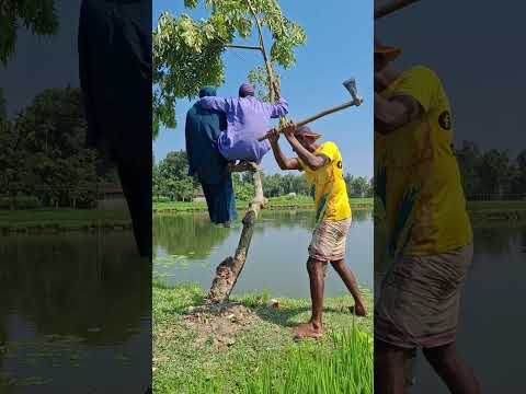Seeing the man sitting above, his man tried to cut the tree.