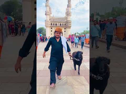 Miya bhai 🫶 #youtube #hyderabad #miyabhai #daimi #youtubeshorts
