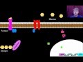 Signal Transduction and Gene Expression