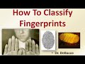 Fingerprint Identification Concepts