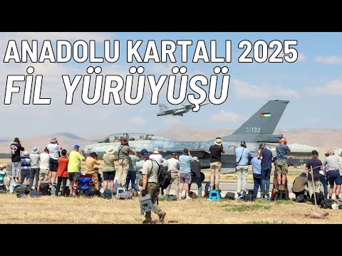 Anadolu Kartalı 2025 Fil Yürüyüşü