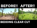 Deer Habitat Management Concepts