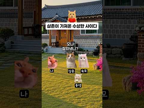 삼촌이 가져온 수상한 사이다