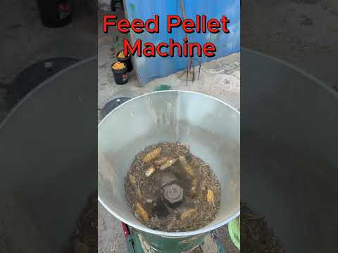 High Efficient Feed Pellet Machine: Revolutionize Your Livestock Feed Production!#youtubeshorts