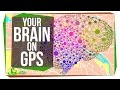 Understanding Blood Type Testing and Brain Navigation