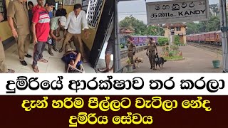 දුම්රියේ ආරක්ෂාව තර කරලා  දැන් හරිම පීල්ලට වැටිලා නේද දුම්රිය සේවය