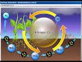 Exploring Biogeochemical Cycles in Natural Resources