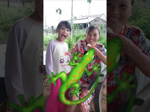 Tắc kè khổng lồ " #sinhnguyenthi