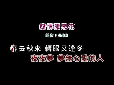 (演唱版)洪百慧-癡情孤戀花(DIY卡拉OK字幕)