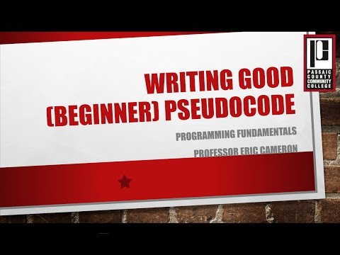 pseudocode writer