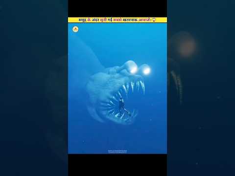 The Most Dangerous Sounds Heard Inside The Sea