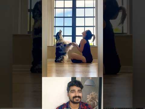 ഇവൻ ആള് കൊള്ളാലോ🥰😍 #shorts #love #dog #reaction