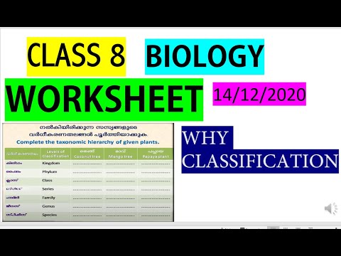 biological classification pogil worksheet answers jobs ecityworks