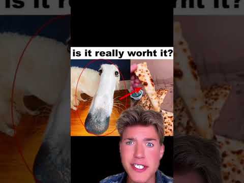 Is it really worth it?