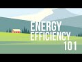 Energy Efficiency and Its Impact