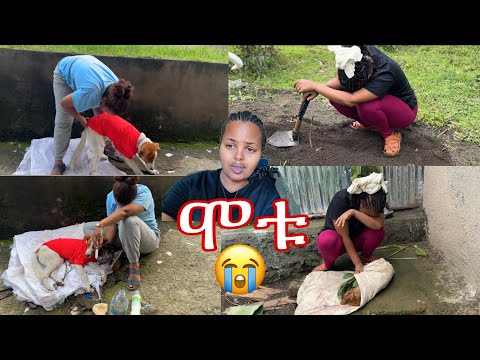 5 ቱም መርዝ በስጋ አብልተዉ ገደሉብኝ በጣም ከፍቶኛል