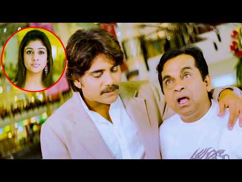 Brahmanandam Superhit Comedy | Brahmanandam - Nagarjuna Hilarious Comedy Scene | Volga Movie