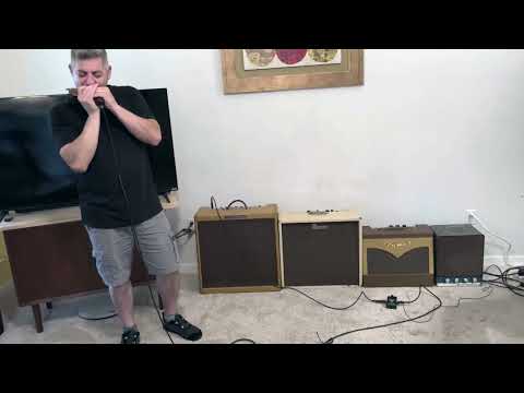 Bassman sale  - Ronnie & Adam demo