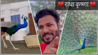 Mor 🦚 Dance 🦚 || Actor Sam Singh ||