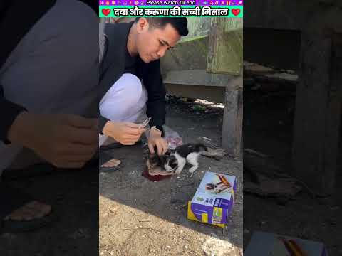 दया और करुणा की सच्ची मिसाल #animal #animalrescue #animallover #rescue #dog
