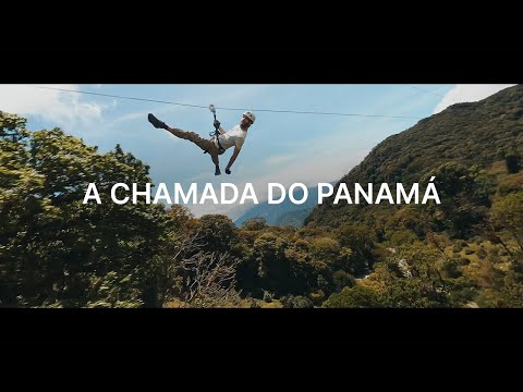 Atenda ao Chamado das Florestas Intactas