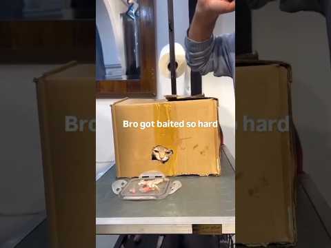 Why they do him like that ๐ญ๐ญ #shorts #animals #shortsmusic