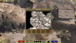 HCSSF Daoist