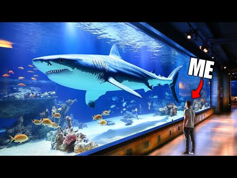 What's Inside Disney's $100,000,000 Aquarium?