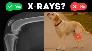 Why Skipping X-Rays Before Surgery Is A Big Mistake