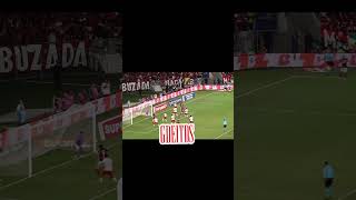 🔥 É líder #viral #futebol #flamengo #brasileirao#libertadores