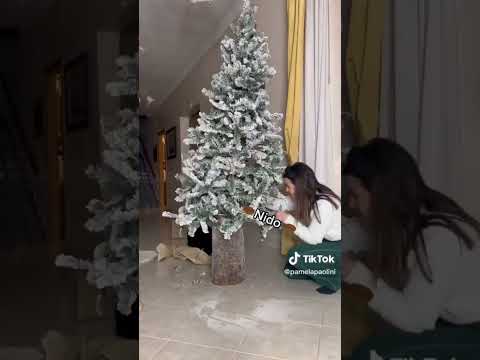 🌲ALBERO ALTO🌲 e bello 🥹 pt.3